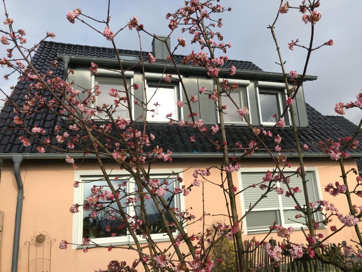 Kleine Auszeit Mit Aussicht Velbert Toenisheide Apartment Екстериор снимка