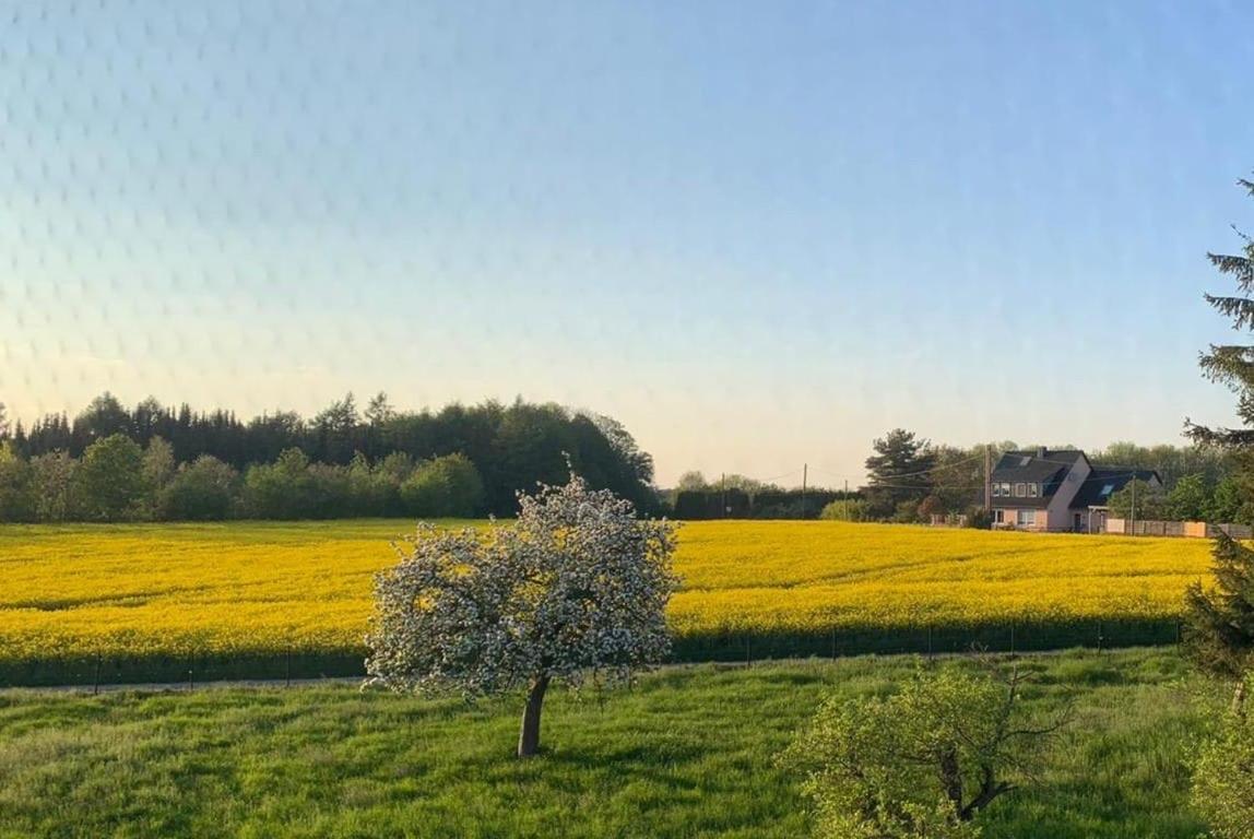 Kleine Auszeit Mit Aussicht Velbert Toenisheide Apartment Екстериор снимка